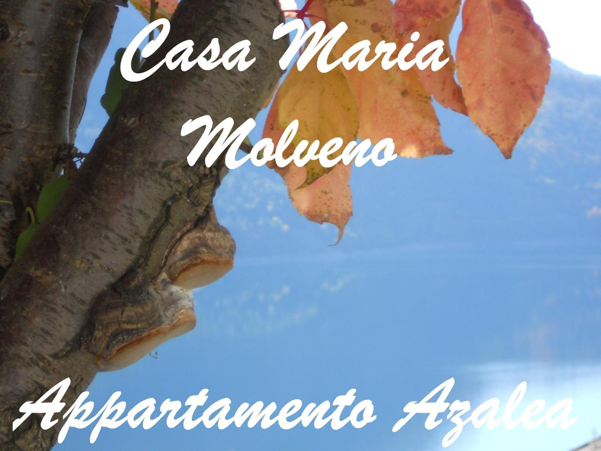 דירות מולבנו Casa Maria חדר תמונה